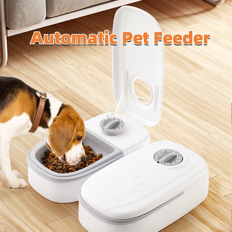 Distributore automatico di cibo per animali domestici