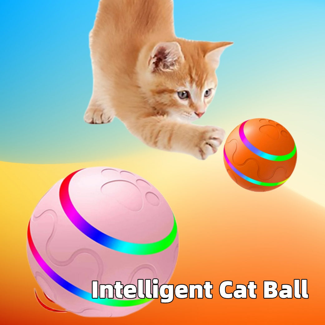 Pallina Intelligente